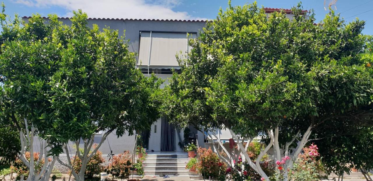 Guesthouse Anila Divjake Exterior foto