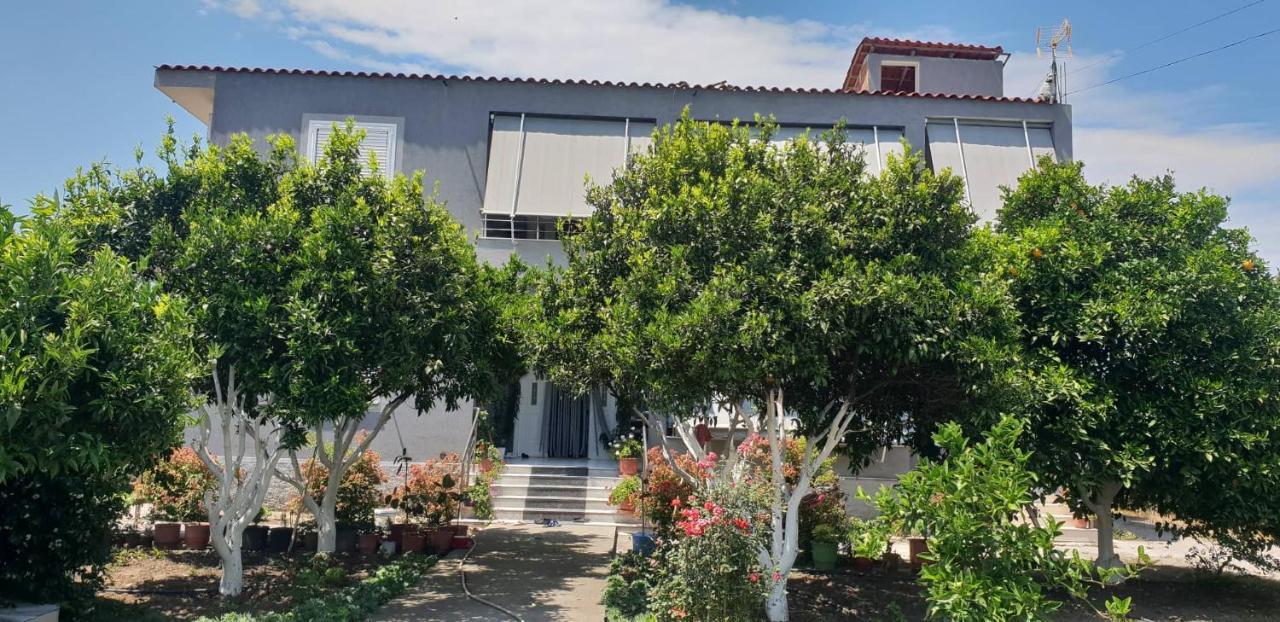 Guesthouse Anila Divjake Exterior foto