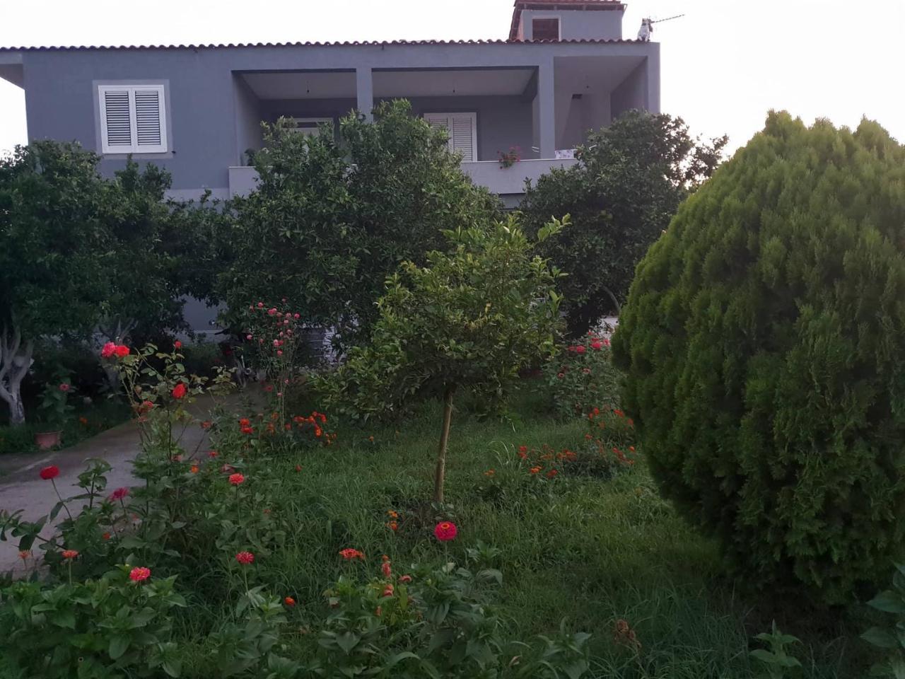 Guesthouse Anila Divjake Exterior foto
