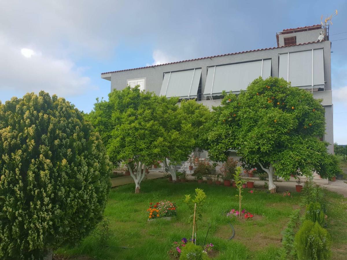 Guesthouse Anila Divjake Exterior foto