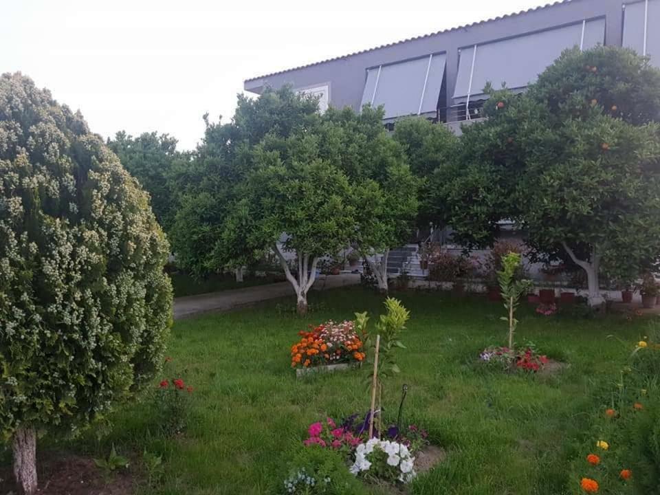 Guesthouse Anila Divjake Exterior foto